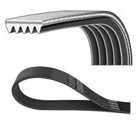 DAYCO cinghia Poly-V 5PK1435 5PK1435 5 nervature