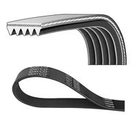 Dayco Cinghia Poly-V 5PK1550 ausiliaria per Suzuki SX4 FL