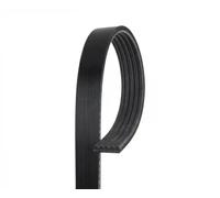 GATES 5PK1550 cinghia Poly-V 5PK1550 5 nervature lunghezza 1.550 mm poliestere