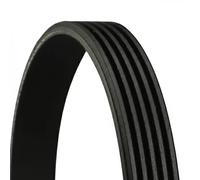 Cinghia Poly-V - CONTINENTAL CTAM 5PK1697