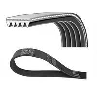 Dayco Cinghia servizi Poly‑V 5PK1745S