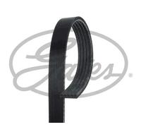 Cinghia trapezoidale multirighe 5PK1794 GATES per HYUNDAI i10 I