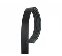 Gates Cinghia Poly-V 5PK1815 per BMW, OPEL, LAND ROVER, compatibile con 3/5 (E34,E36,E39)