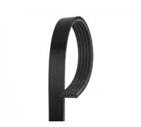 GATES 5PK700 Cinghia servizi