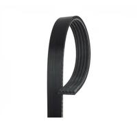 GATES Chingia Micro-V 5PK848