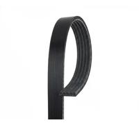 GATES 5PK870 Cinghia servizi nero