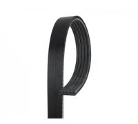 Cinghia Poly-V GATES 5PK875