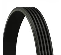 CONTITECH 5PK884 Cinghia servizi per FORD Fiesta Mk4 Schrägheck (JAS, JBS) 884mm