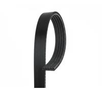 Gates 5pk 918 5pk918 Micro V A Costine Ventola - Ausiliaria - Alternatore -