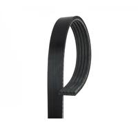 Cinghia Poly-V GATES 5PK923