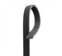 GATES 6DPK1195 Cinghia servizi nero