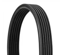 CONTITECH 6DPK1697 Cinghia servizi Cinghia Poly-V Cinghia alternatore Cinghia dei servizi