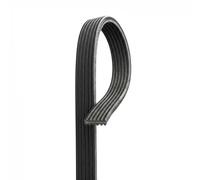 GATES 6DPK1698 Cinghia servizi Cinghia Poly-V Cinghia alternatore Cinghia dei servizi