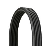 CONTITECH 6DPK1817 Cinghia Poly-V