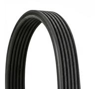 CONTINENTAL CTAM cinghia Poly-V 6DPK1825 6 nervature 1.825 mm