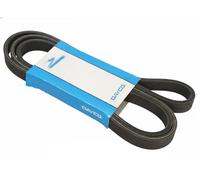 Cinghia Poly-V DAYCO 6DPK1825