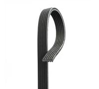 Gates Cinghia Poly-V 6DPK1825 – multirighe, cinghia servizi