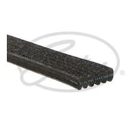 Cinghia Poly-V GATES 6DPK1838