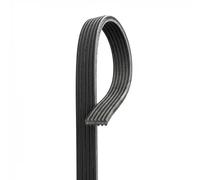Cinghia Poly-V GATES 6DPK1838