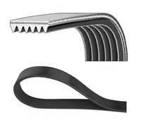 Cinghia Poly-V DAYCO 6PK1040