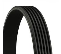 Contitech Cinghia Scanalata Micro-V 6 Pk 1042 Elast Cinghia 6Pk1042Elast