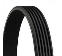 CONTITECH 6 PK 1075 Cinghie Trapeiz