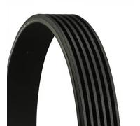 6PK1080 CONTINENTAL CTAM Cinghia Poly-V per ALFA ROMEO,AUDI,BMW,CITROËN,DS,FIAT,