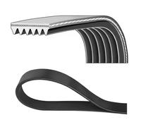 Dayco Cinghia Trapezoidale Pv 6Pk1087