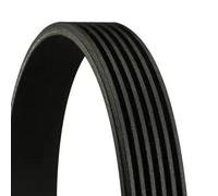 CONTITECH 6PK1098 EXTRA Cinghia servizi