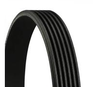 Contitech Cinghia Poly-V 6Pk1115