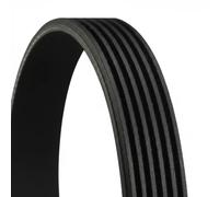 CONTITECH 6PK1179 EXTRA Cinghia servizi