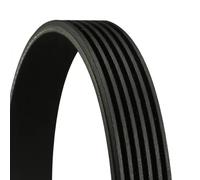 CINGHIA 6 PK 1185 307 2.0 16V