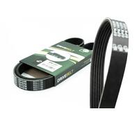 Cinghia trapezoidale multirighe 6PK1200 BGA per RENAULT PEUGEOT CITROËN NISSAN