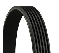 ContiTech Cinghia Poly-V Originale 6PK1200 per Citroën Dacia Land Rover