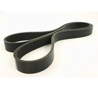 JAPKO 6PK1200 Cinghia servizi