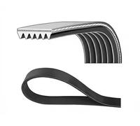Cinghia trapezoidale multirighe 6PK1355 DAYCO per PEUGEOT MERCEDES-BENZ CITROËN