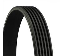Cinghia Poly-V - CONTINENTAL CTAM 6PK1370