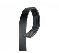 GATES Cinghia Scanalata Adatto A per Ford Ka Fiesta IV Mazda 121 III 800