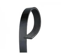 Gates Cinghia servizi 6PK1535XS per Ford Focus III, C-Max II, Grand C-Max e Escort V