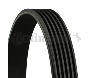 Cinghia trapezoidale multirighe 6PK1555 CONTINENTAL CTAM per BMW FORD VOLVO VW