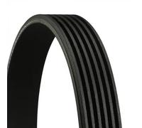 CONTITECH 6PK1560 Cinghie Trapeiz