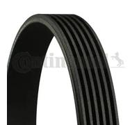 ContiTech Cinghia servizi 6PK1564 – trapezoidale multirighe per Citroën/Peugeot