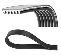 Cinghia Poly-V DAYCO 6PK1635
