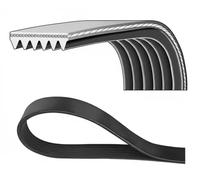 Dayco Cinghia Poly-V 6PK1698 trapezoidale multirighe