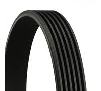 CONTINENTAL CTAM cinghia Poly-V 6PK1720 6PK1720 6 nervature 1.720 mm