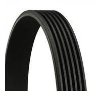 CONTITECH 6PK1725 Cinghia Poly-V