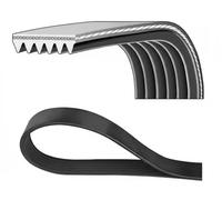 Dayco Cinghia Poly-V 6PK1725 trapezoidale multirighe