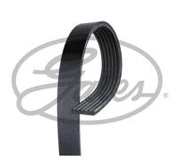 Cinghia trapezoidale multirighe 6PK1745 GATES per VOLVO FORD CITROËN SKODA