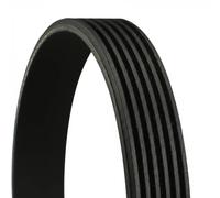 CONTINENTAL CTAM cinghia Poly-V 6PK1755 6PK1755 6 nervature 1.755 mm