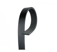 GATES 6PK1835XQ Micro-V® Cinghia servizi per FIAT MULTIPLA (186) BRAVO I (182)
